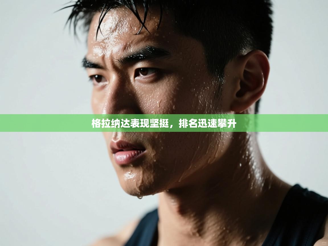 格拉纳达表现坚挺，排名迅速攀升  第2张