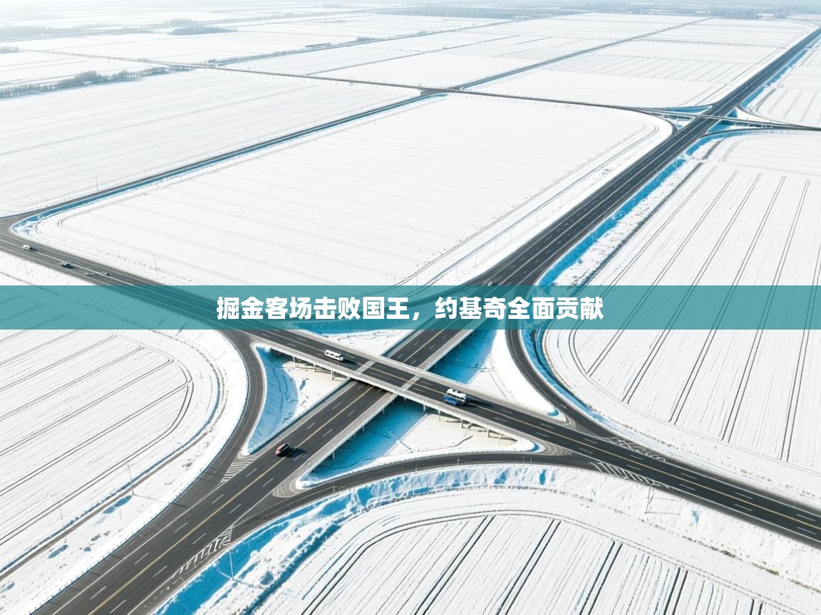 掘金客场击败国王，约基奇全面贡献  第1张