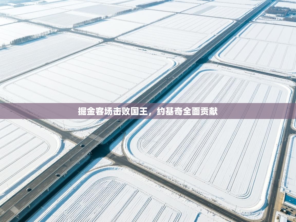 掘金客场击败国王，约基奇全面贡献  第2张