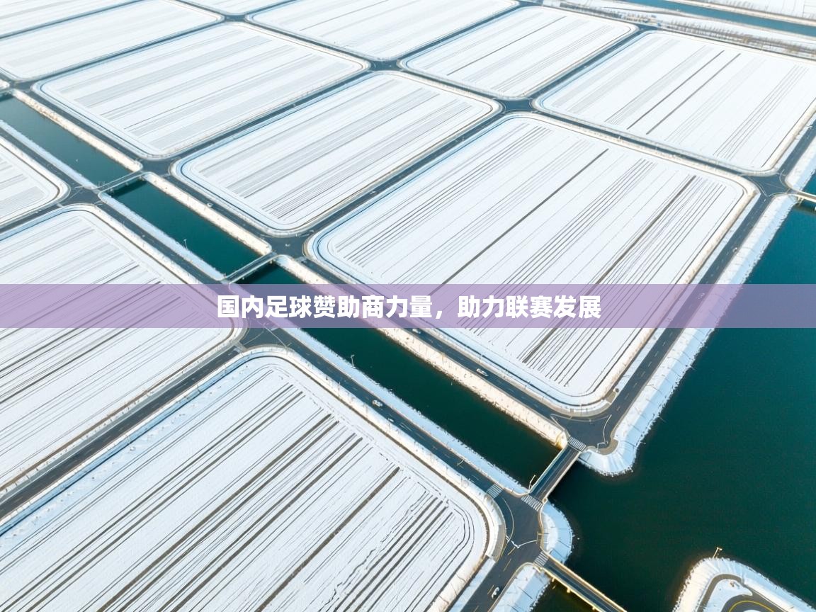 国内足球赞助商力量,助力联赛发展 第1张