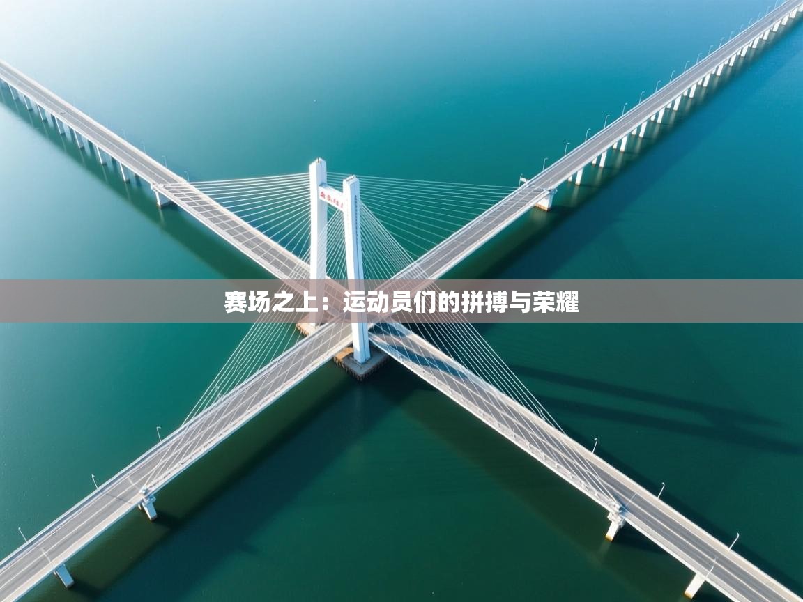 赛场之上：运动员们的拼搏与荣耀  第1张
