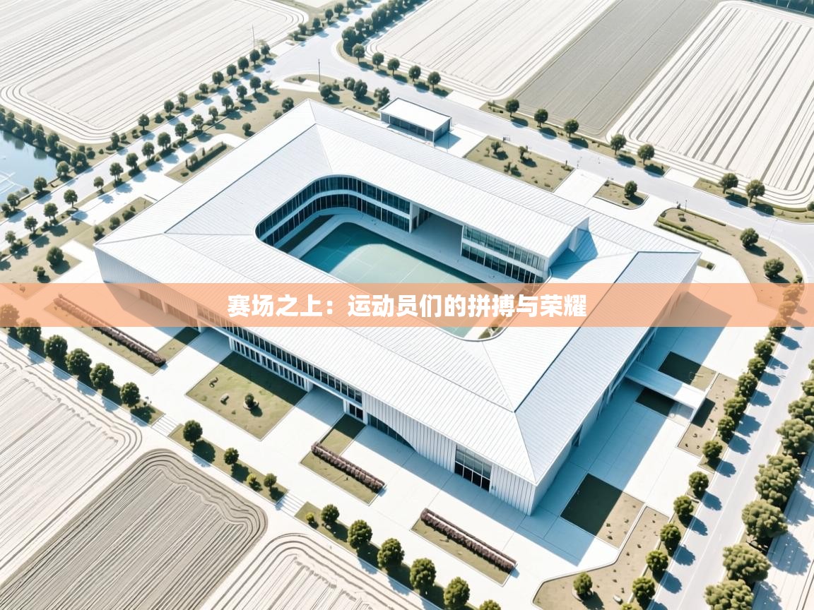 赛场之上：运动员们的拼搏与荣耀  第2张