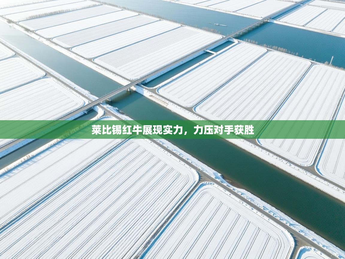 莱比锡红牛展现实力,力压对手获胜 第1张