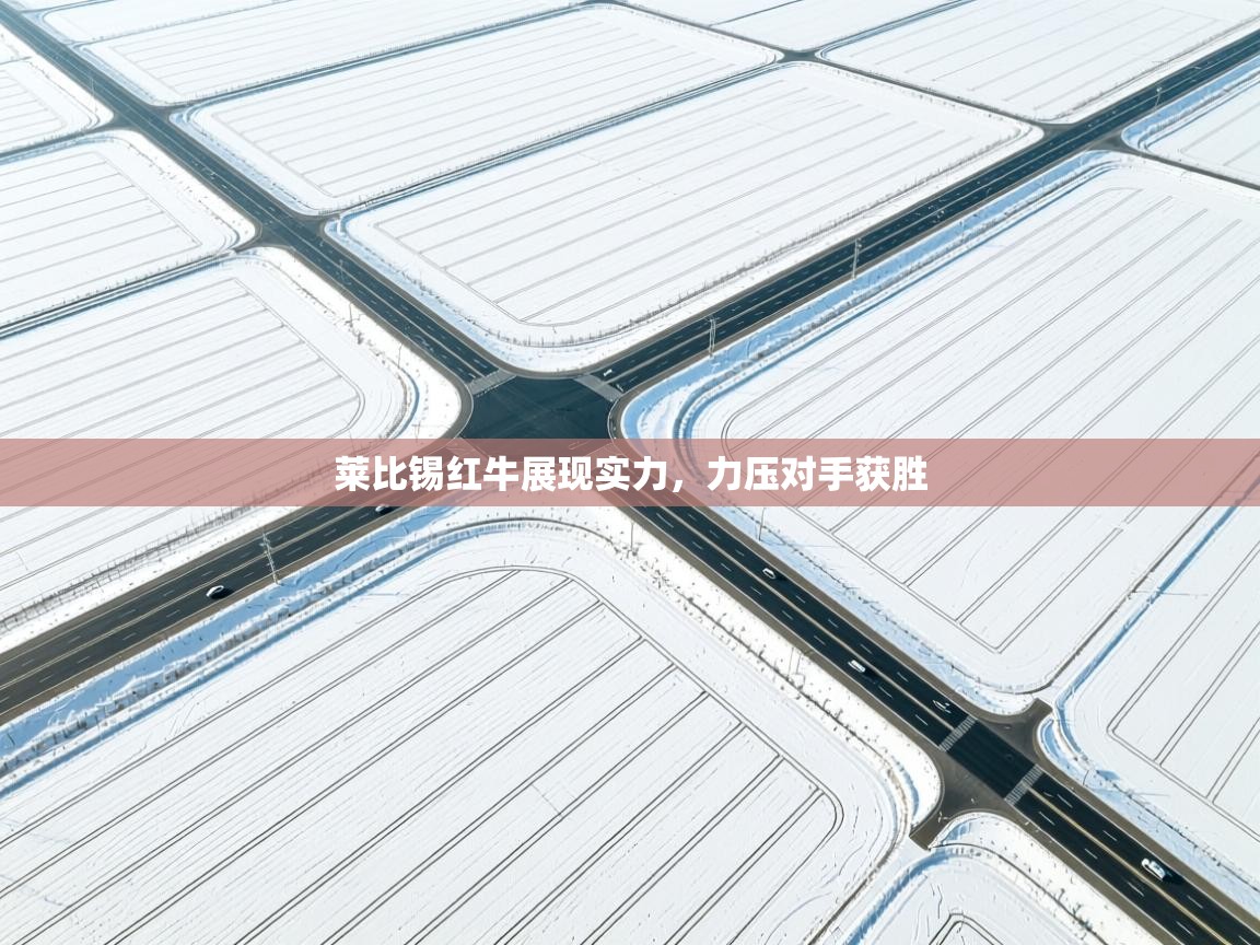 莱比锡红牛展现实力,力压对手获胜 第2张