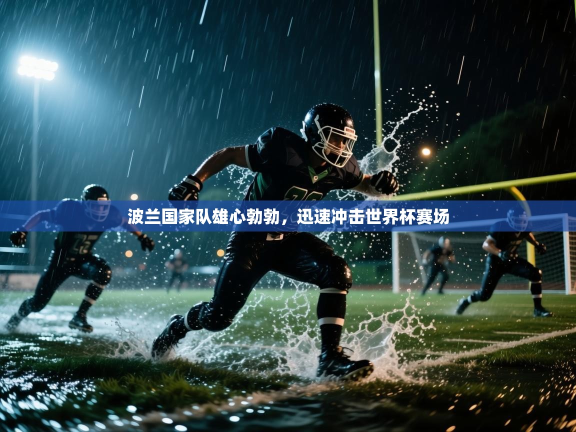 波兰国家队雄心勃勃，迅速冲击世界杯赛场  第1张