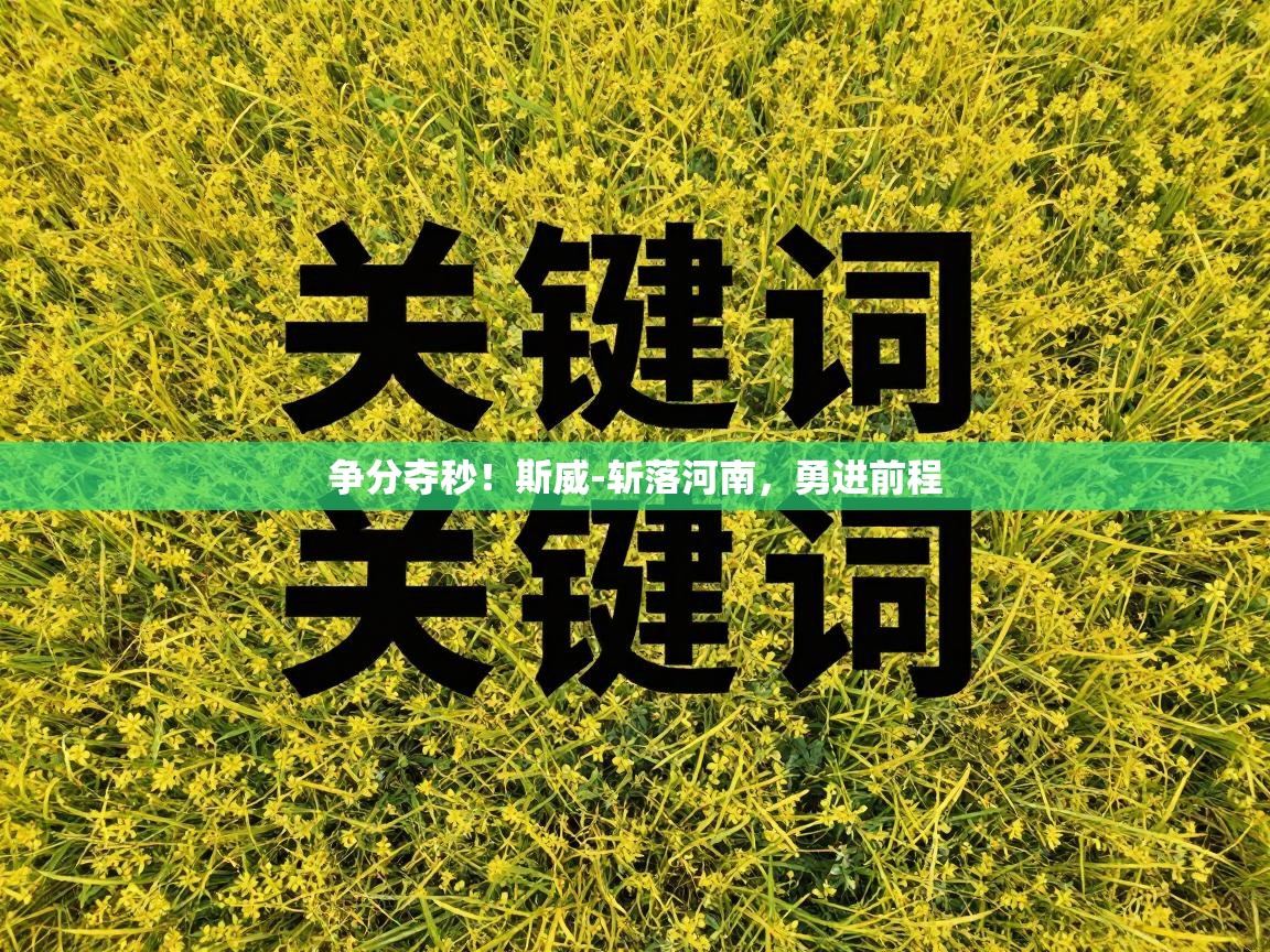 争分夺秒！斯威-斩落河南，勇进前程  第1张